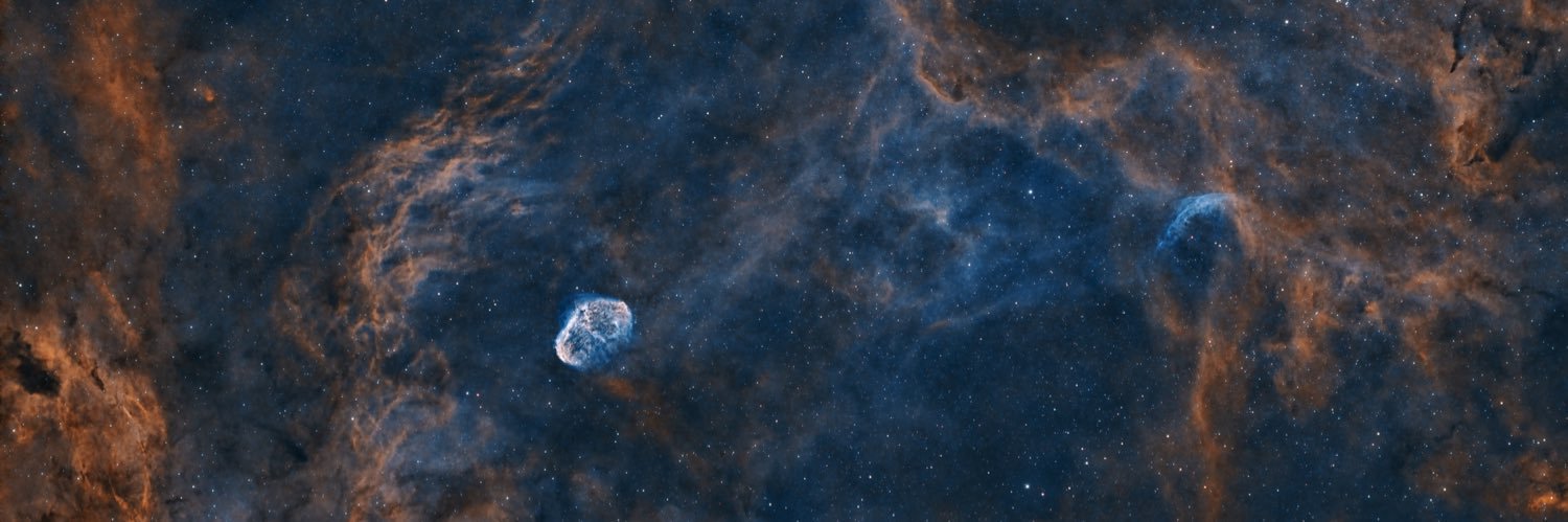 Carlos David MD FAANS banner