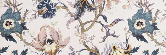 oltrelaltamarea's profile banner image