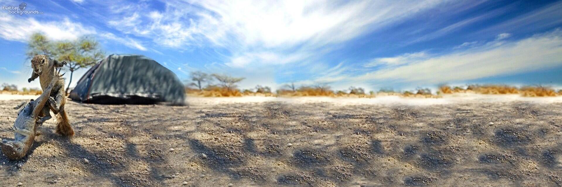 Robby Pickert banner