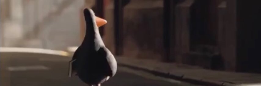 Duncandutchie's profile banner image