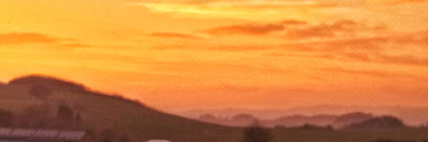 QuasiCharly's profile banner image