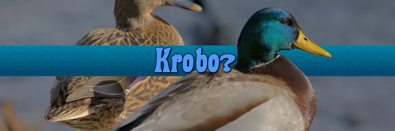 Kroboats banner