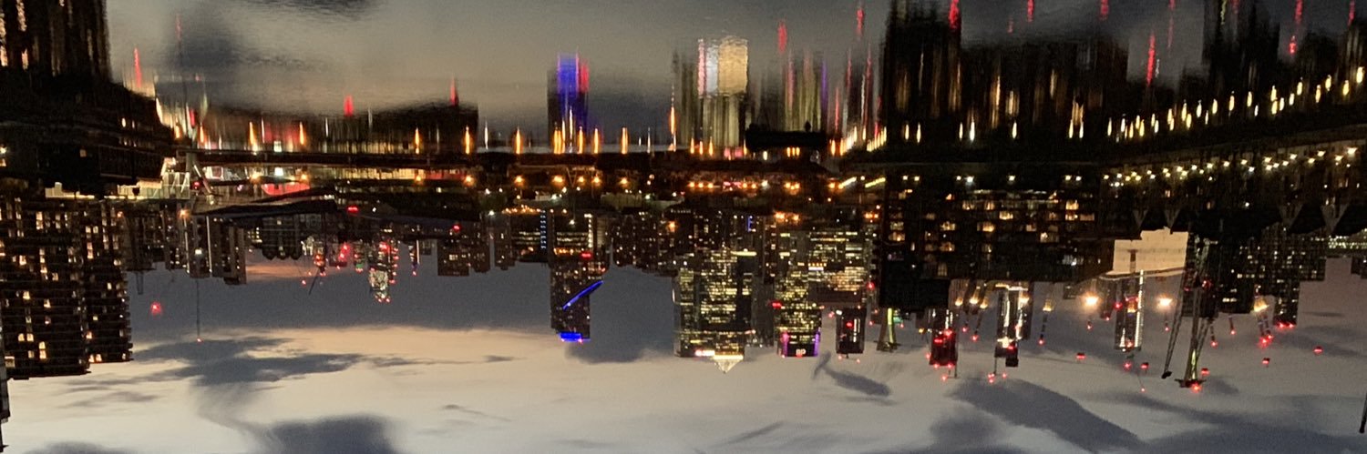 bobonova's profile banner image