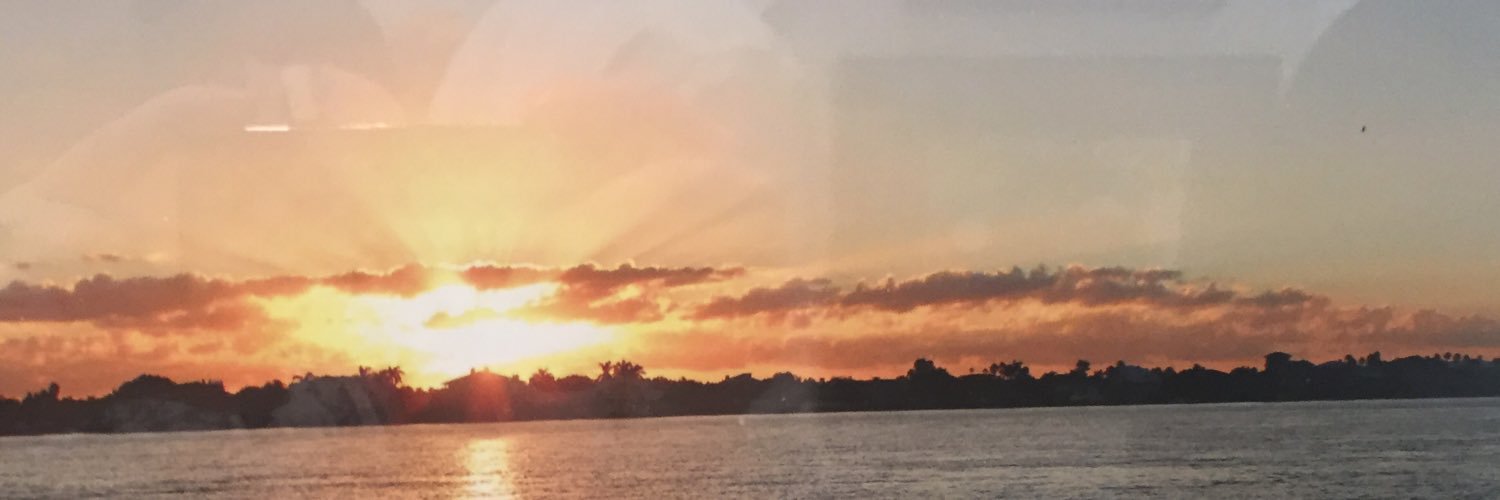 LisaGwrites's profile banner image