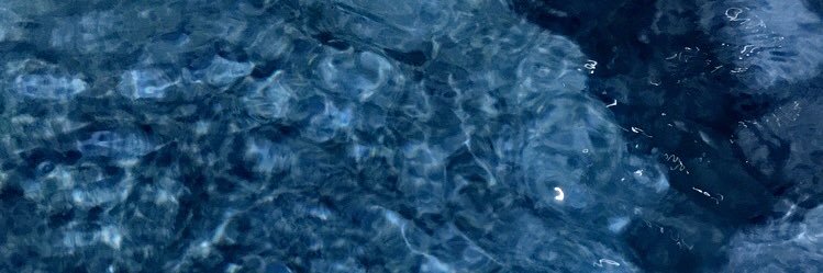 Lauraaa banner