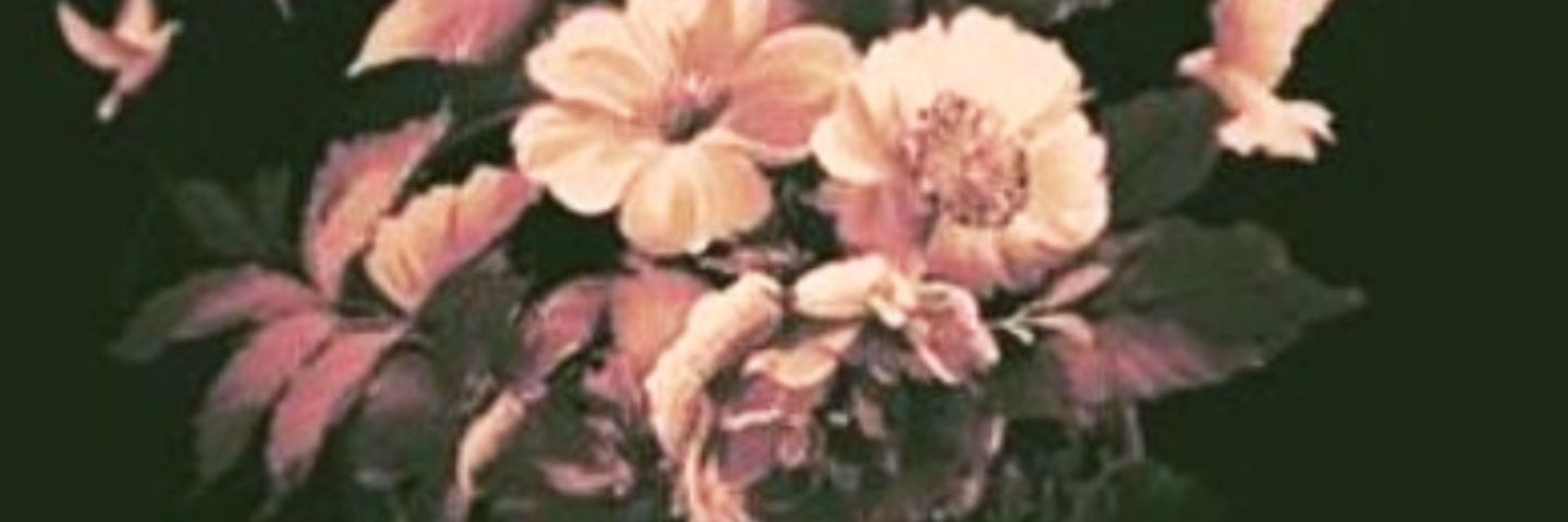Vickyobregonn's profile banner image