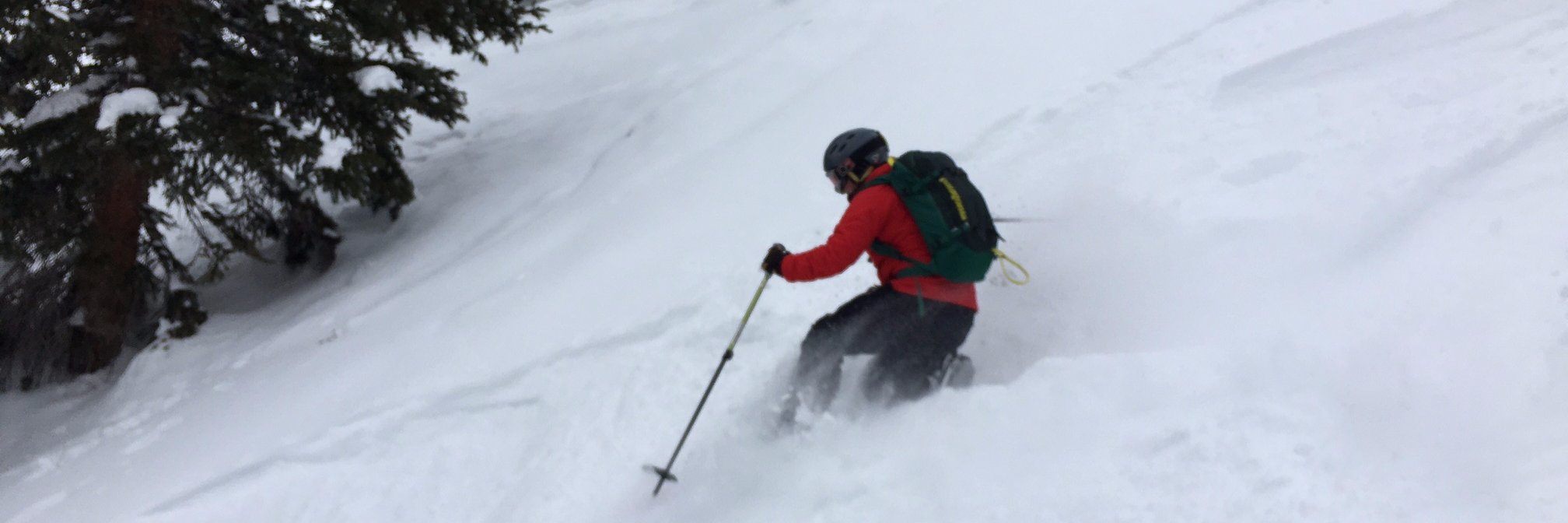 Alena Grabowski banner