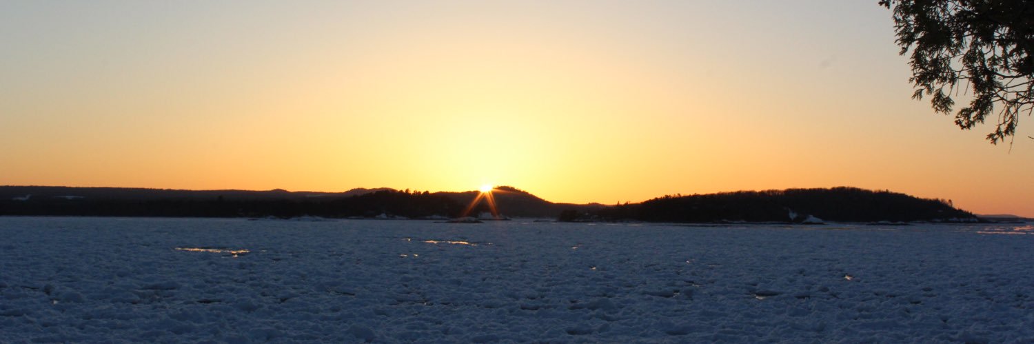 ElliFoglio's profile banner image