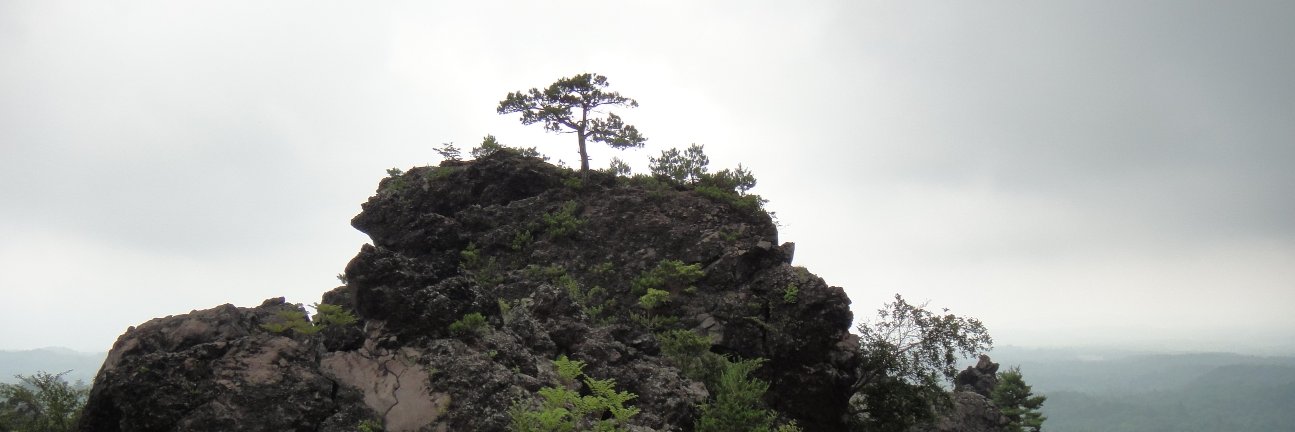 corpuscallosum0's profile banner image