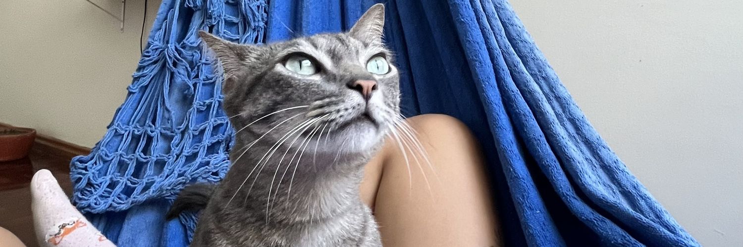geooporto's profile banner image