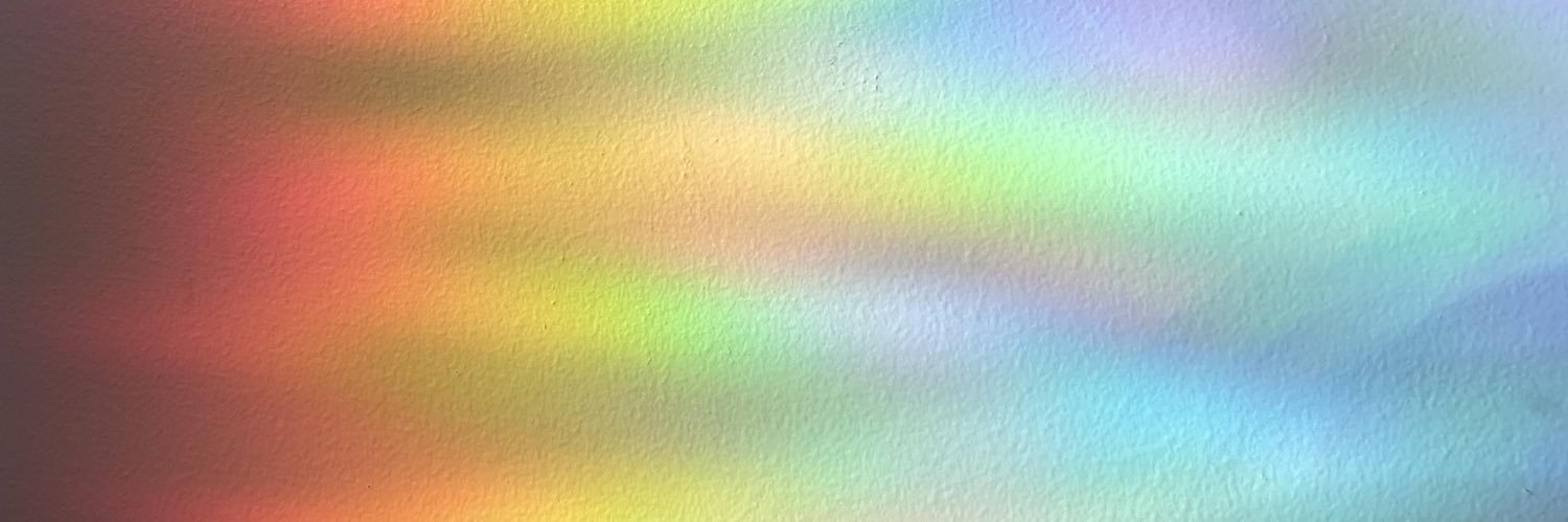 Caitlin Handerhan banner