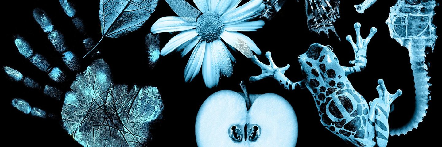 StaveStrong's profile banner image