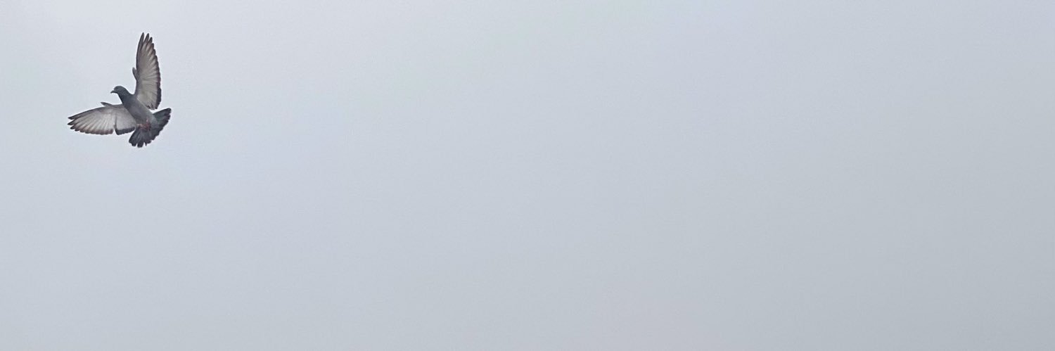 rzooon2's profile banner image