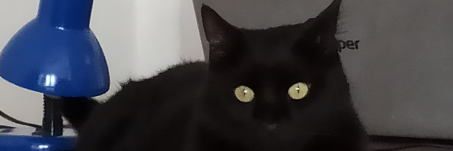 Tavşan ama kedi aşığı #SammysChildrenDay çağı banner