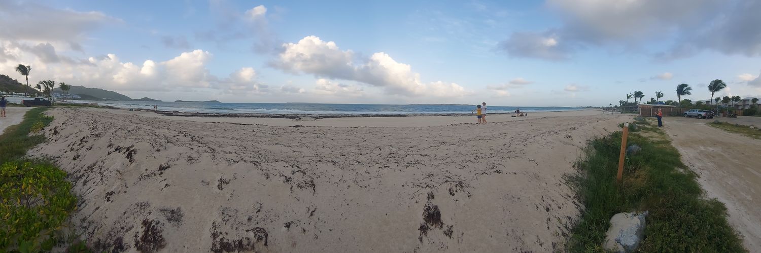 Michael Kitching- 🇮🇪 🇮🇪 🇮🇪 banner