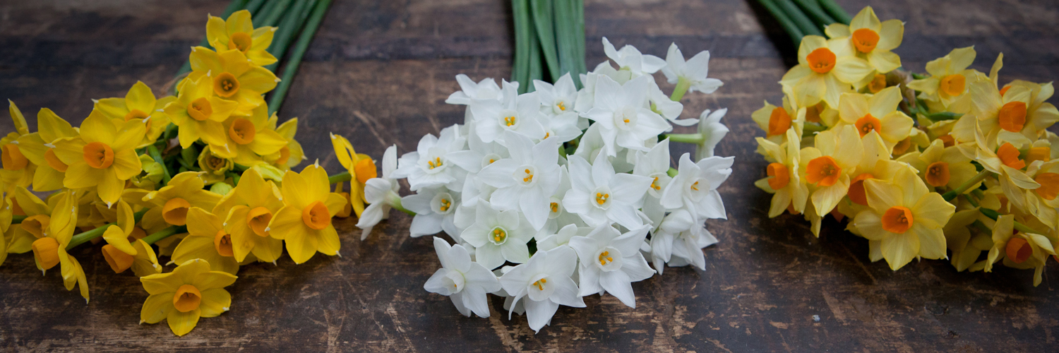 Scilly Flowers (scillyflowers) / Twitter