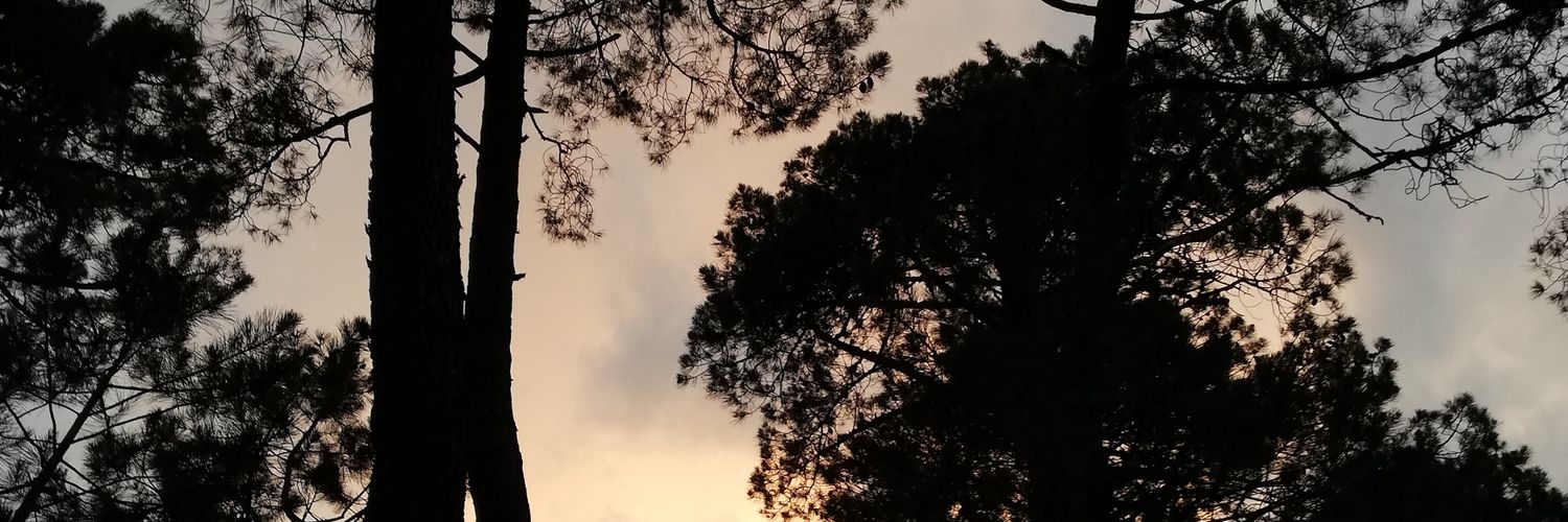 Carcadan's profile banner image