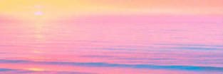 daniellegaspar's profile banner image