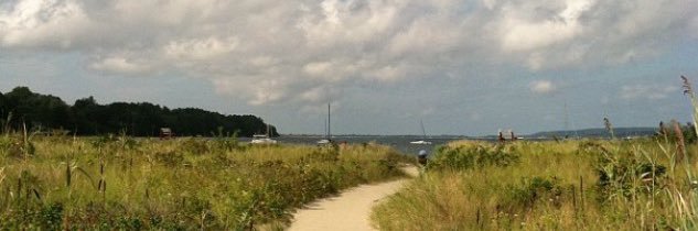 Christina Quinn banner