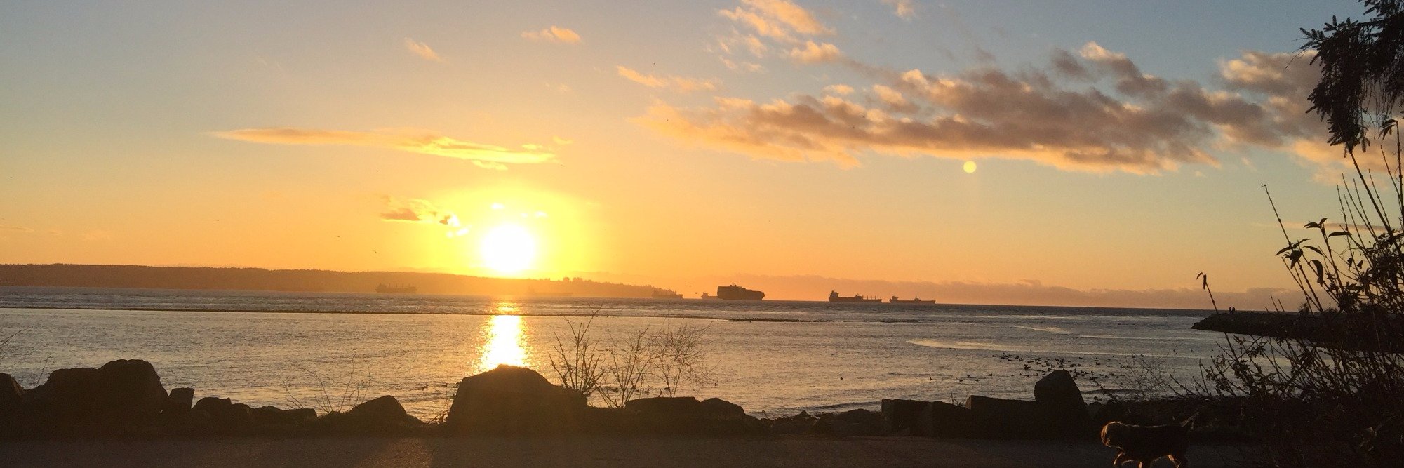 Monique Creber🌻 banner