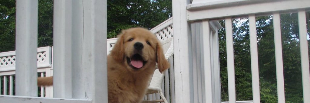 ryan_hi11's profile banner image