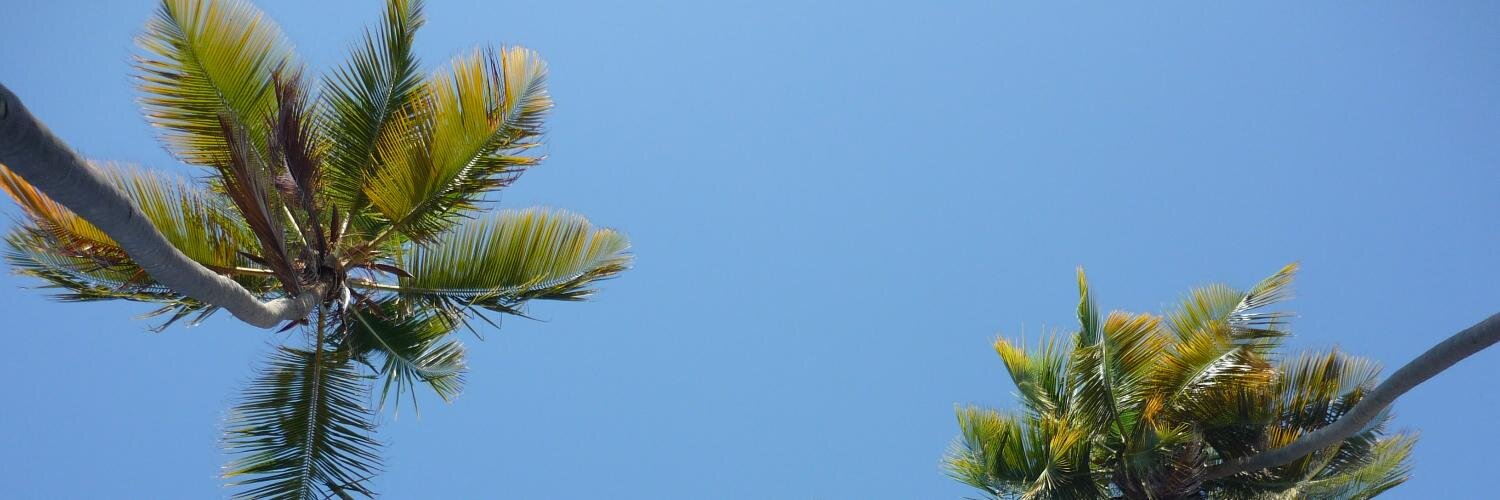 Sscooby1's profile banner image