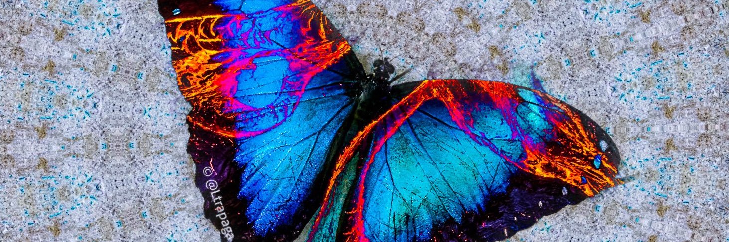 Luiz Gustavo | Artista Visual banner