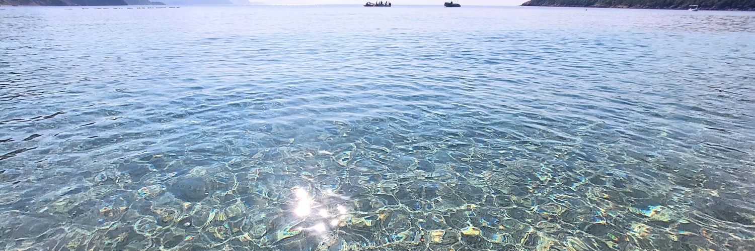 Aleksandra Pandurević banner