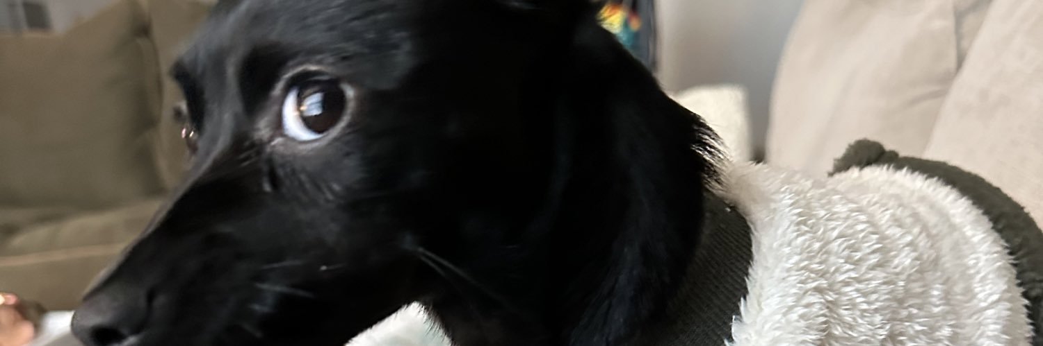 TTruskowski3's profile banner image