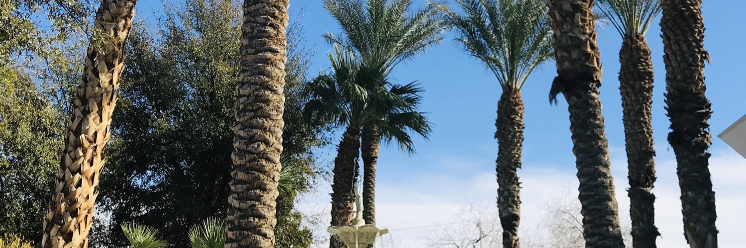 ladyredrox's profile banner image