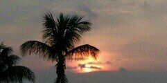 IlseOzinga's profile banner image