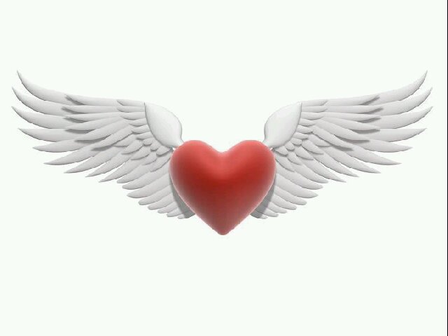 Angel_de__amor's profile banner image