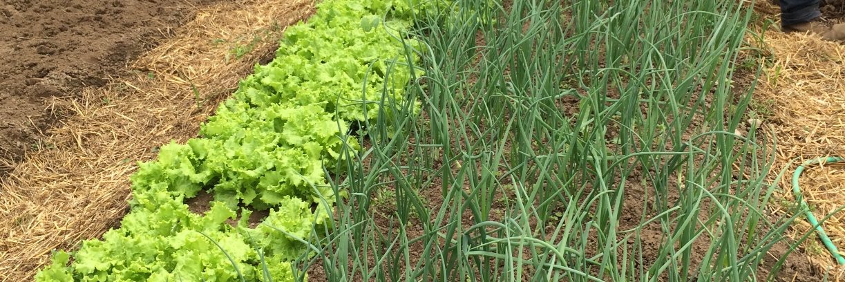 PlanBfarms's profile banner image