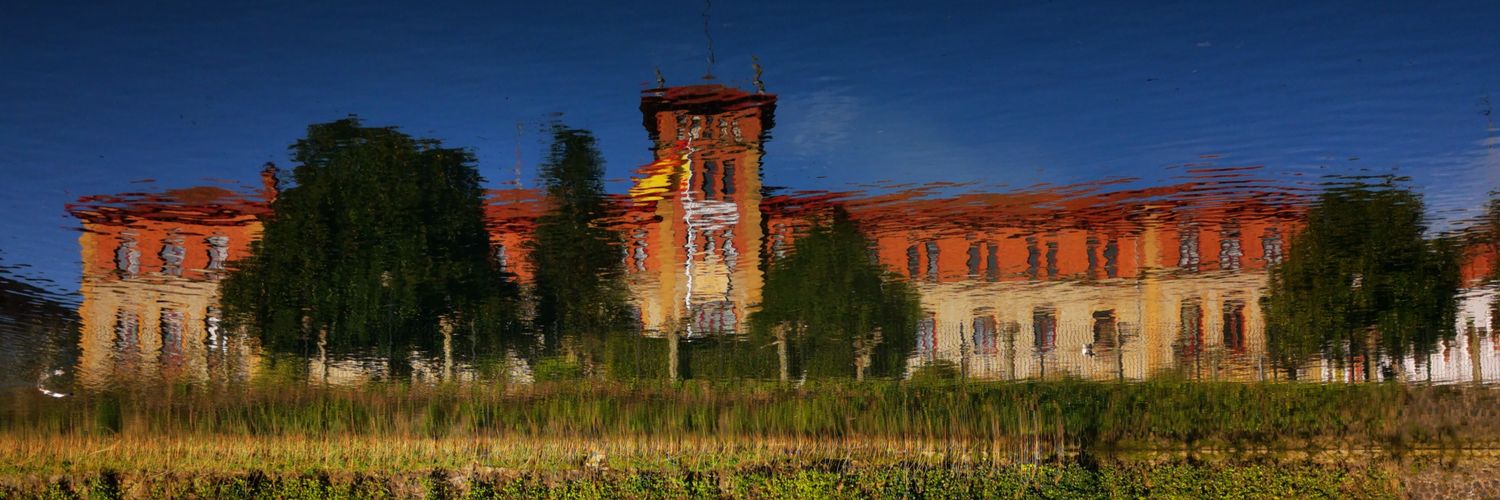 0425Dbarres's profile banner image