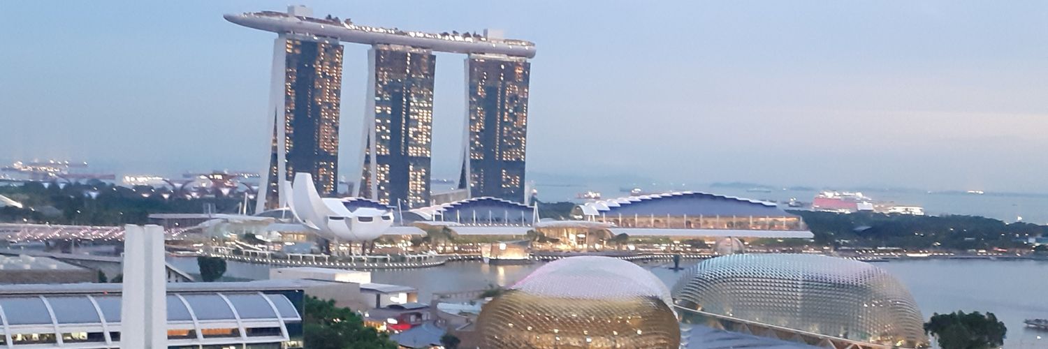 Hong Kong 🇭🇰 Owls🦉 banner