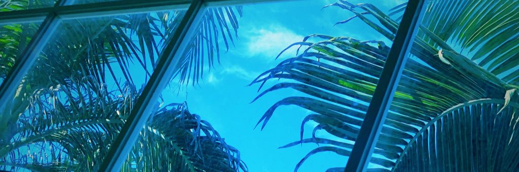 Justin_Schmidt1's profile banner image