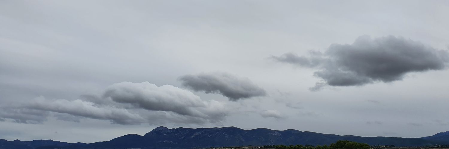 hipokamps's profile banner image