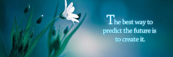 willizi Profile Banner