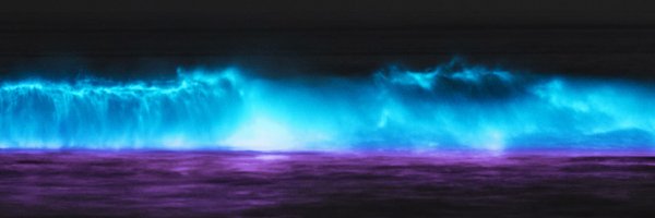 f_lourenco's profile banner image