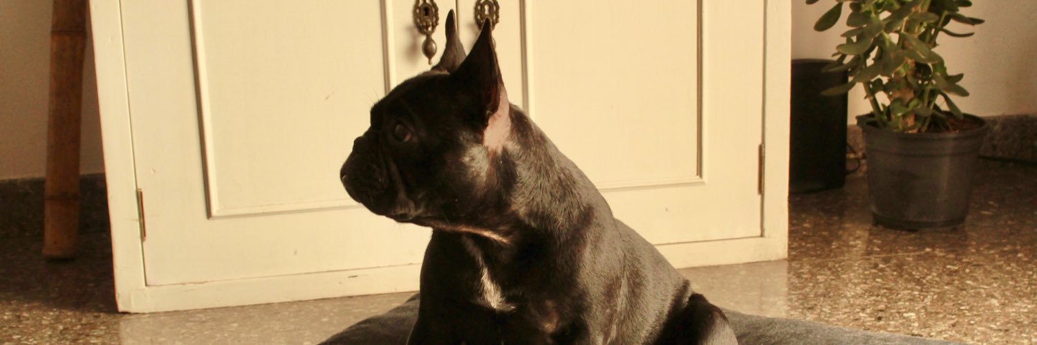 PedroPedersen1's profile banner image