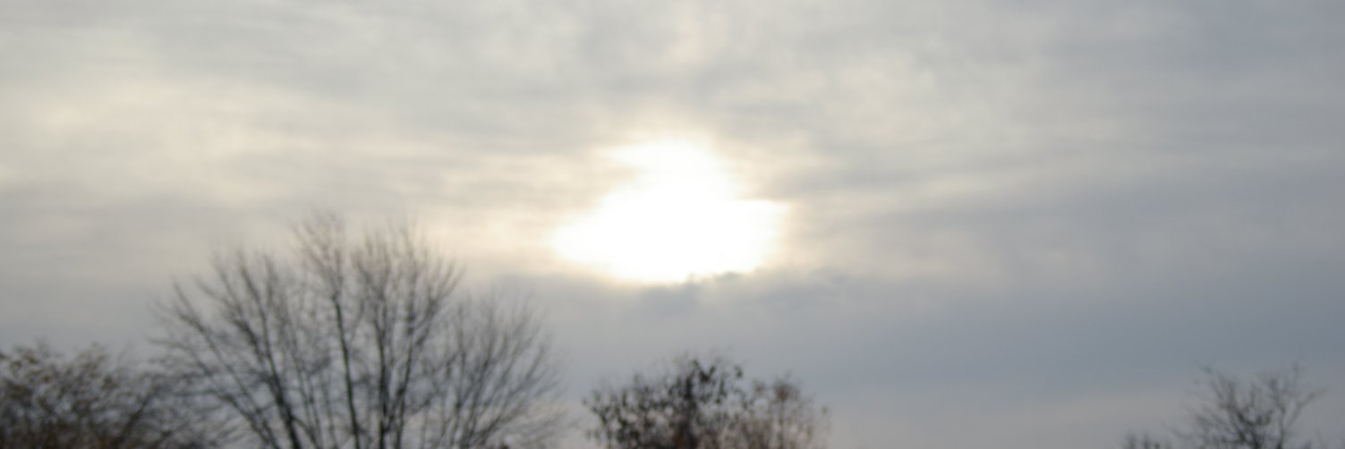 1kReasons2Fight's profile banner image
