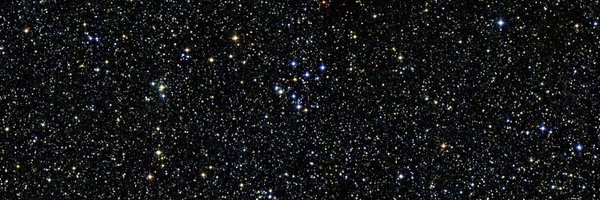 Boruta75 Profile Banner