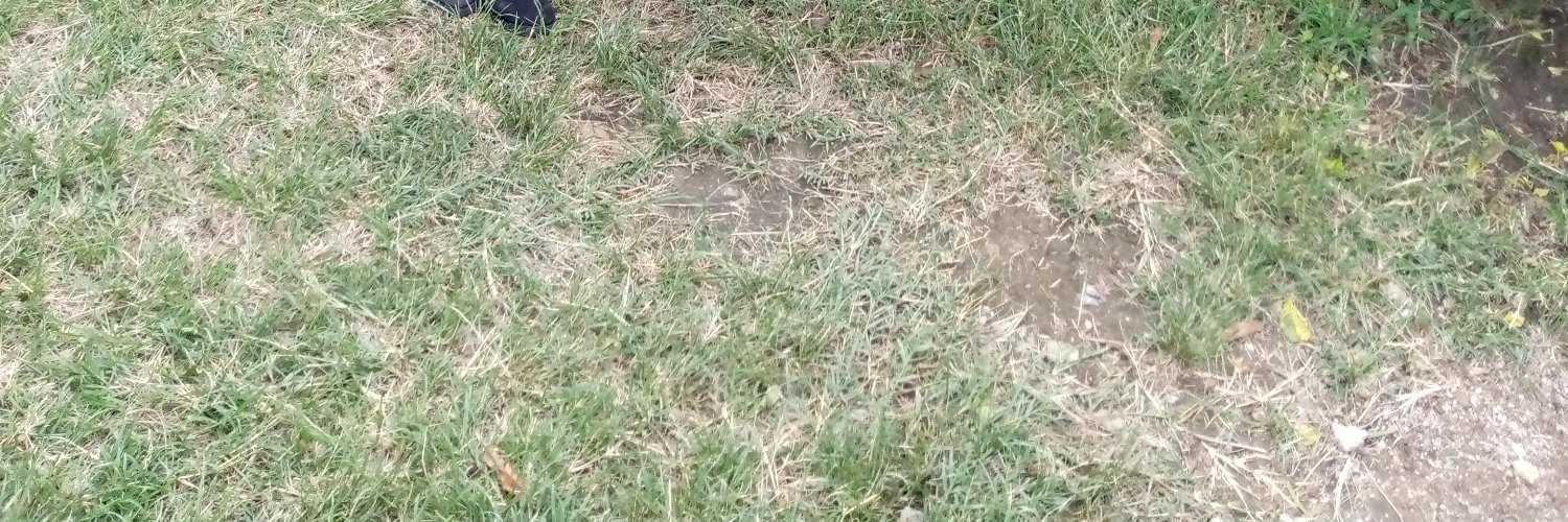 nyabureebryan's profile banner image
