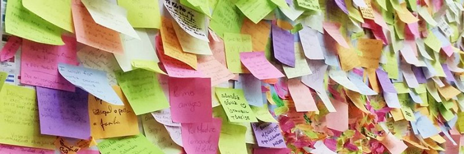 Amanda Dingus banner