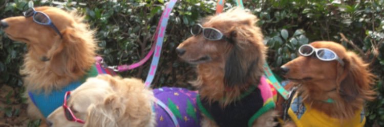 ___kdanielle's profile banner image