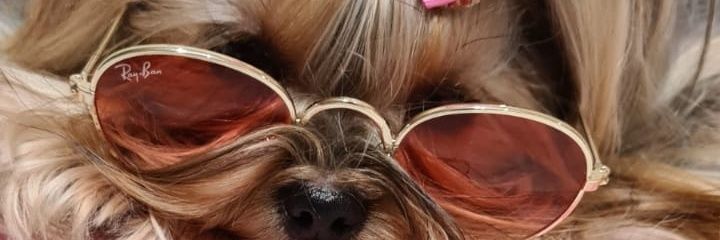 Jesinha1's profile banner image