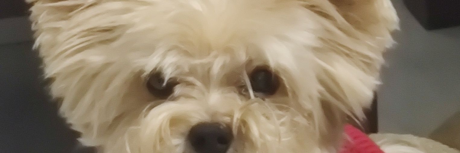 topazttv's profile banner image