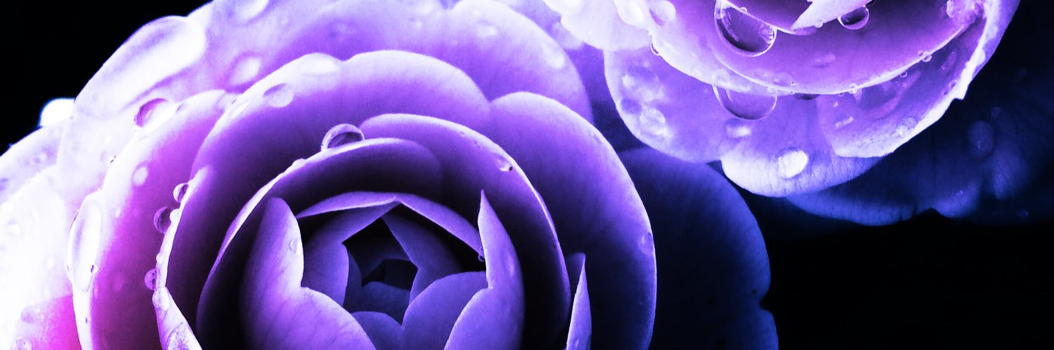 me_goya's profile banner image