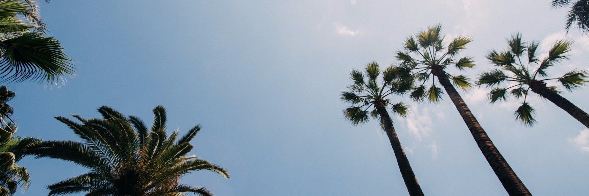 SiltanenLA's profile banner image