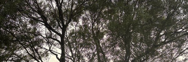 DionneDaniel5 Profile Banner